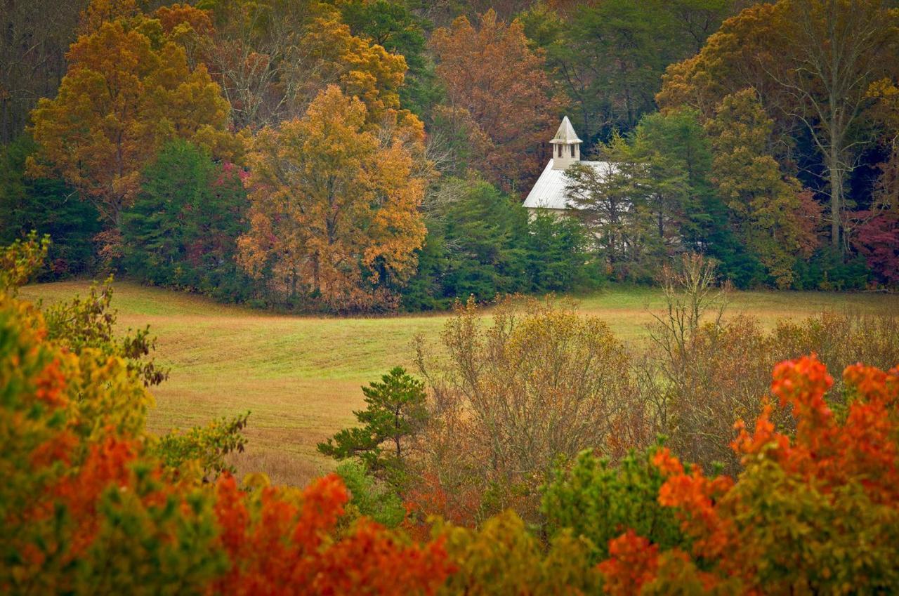 Cabin Of Dreams, 3 Bedroom Water View, Wifi, Hot Tub, Pool Table, Sleep 8 Sevierville Eksteriør bilde