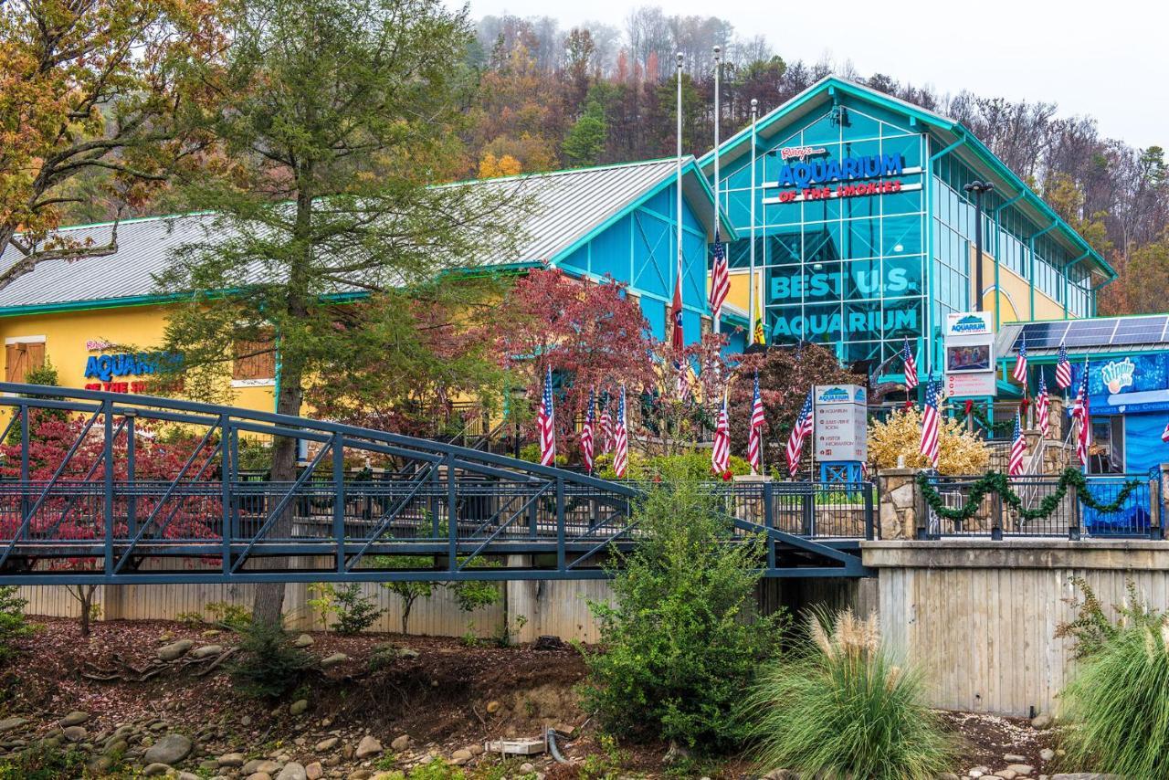Cabin Of Dreams, 3 Bedroom Water View, Wifi, Hot Tub, Pool Table, Sleep 8 Sevierville Eksteriør bilde